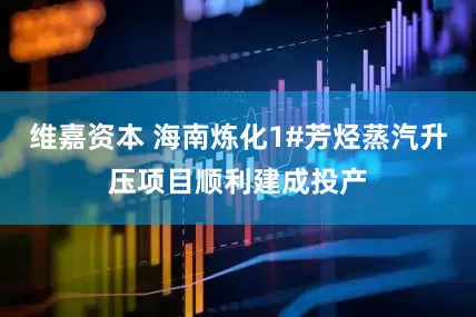 维嘉资本 海南炼化1#芳烃蒸汽升压项目顺利建成投产