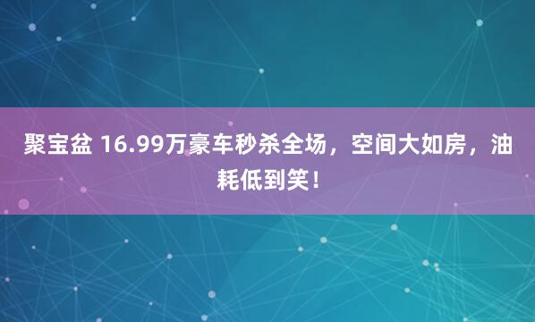 聚宝盆 16.99万豪车秒杀全场，空间大如房，油耗低到笑！