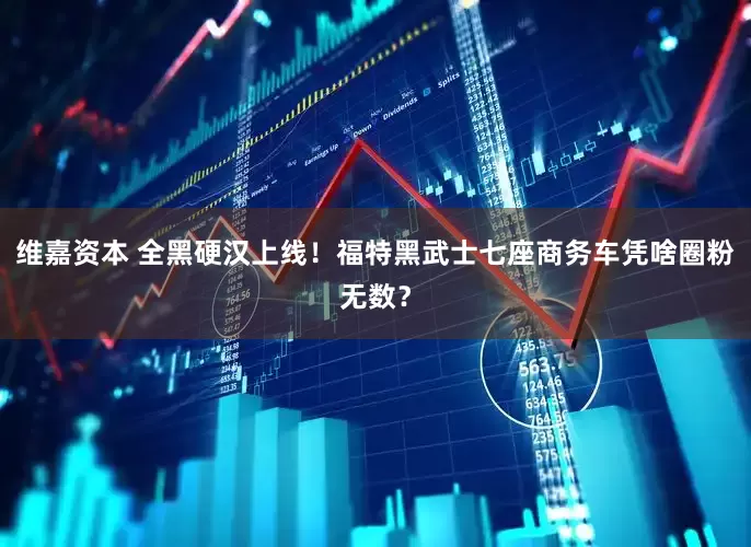 维嘉资本 全黑硬汉上线！福特黑武士七座商务车凭啥圈粉无数？