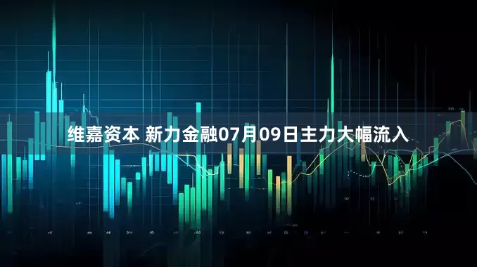 维嘉资本 新力金融07月09日主力大幅流入