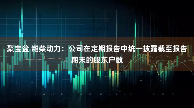 聚宝盆 潍柴动力：公司在定期报告中统一披露截至报告期末的股东户数