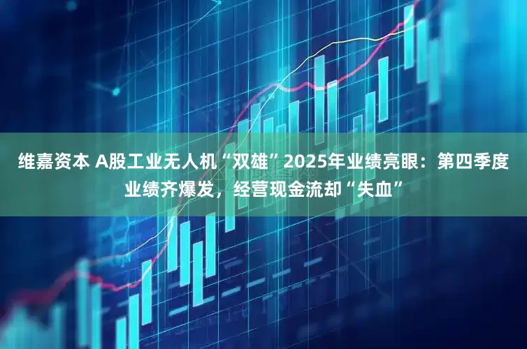 维嘉资本 A股工业无人机“双雄”2025年业绩亮眼：第四季度业绩齐爆发，经营现金流却“失血”