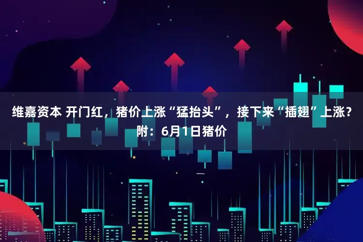维嘉资本 开门红,猪价上涨“猛抬头”,接下来“插翅”上涨?附:6月1日猪价