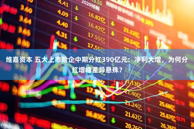 维嘉资本 五大上市险企中期分红390亿元:净利大增,为何分红增幅差异悬殊?